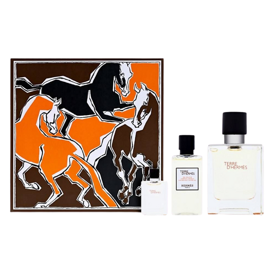 Hermes Terre d'Hermès Eau de Toilette Spray 100ml Gift Set