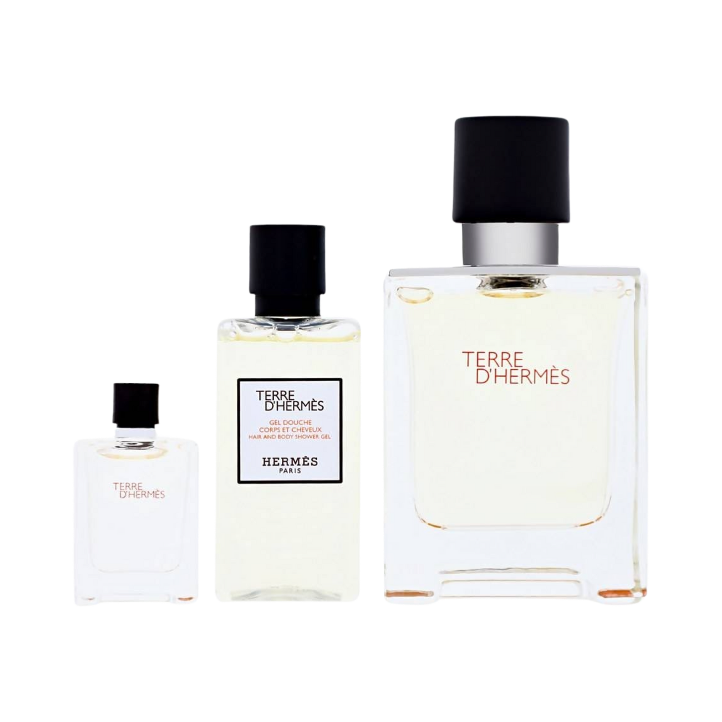 Hermes Terre d'Hermès Eau de Toilette Spray 100ml Gift Set